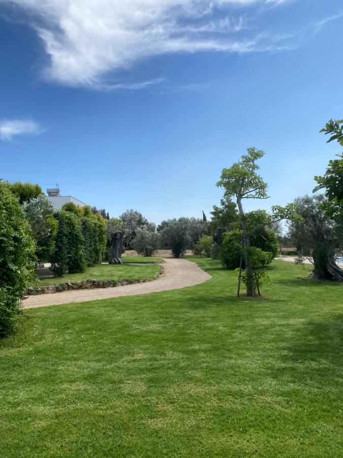 Casa Anna, Agriturismo Alla Castellana Gallipoli Eksteriør billede