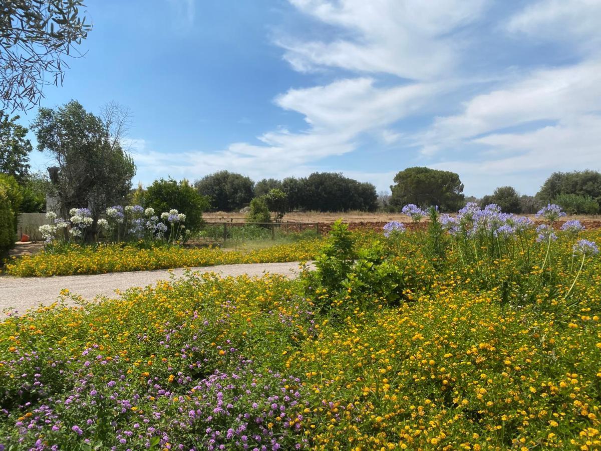 Casa Anna, Agriturismo Alla Castellana Gallipoli Eksteriør billede