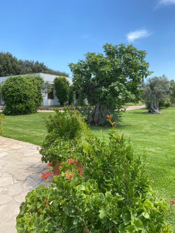 Casa Anna, Agriturismo Alla Castellana Gallipoli Eksteriør billede