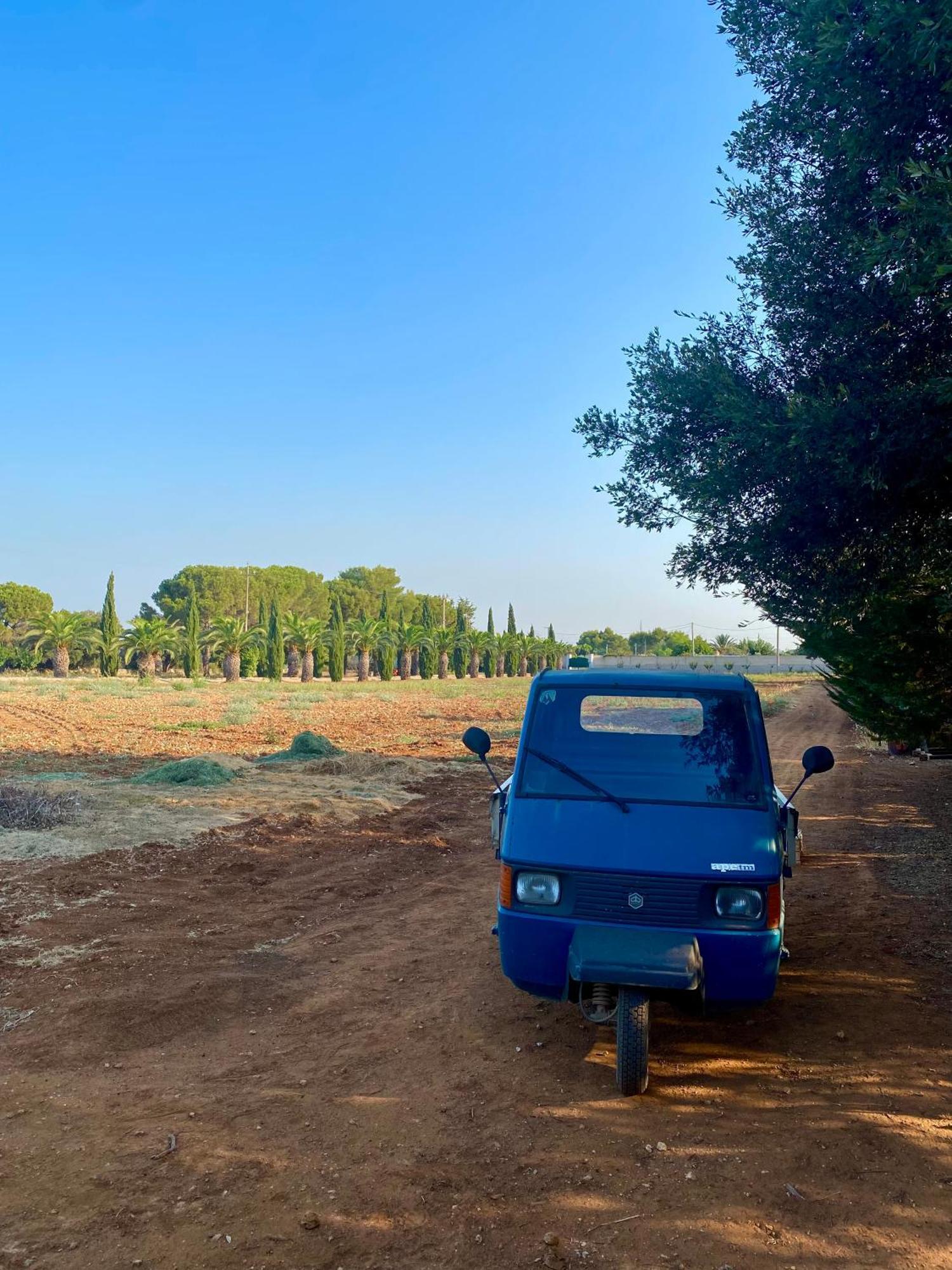 Casa Anna, Agriturismo Alla Castellana Gallipoli Eksteriør billede