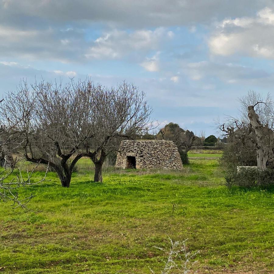 Casa Anna, Agriturismo Alla Castellana Gallipoli Eksteriør billede