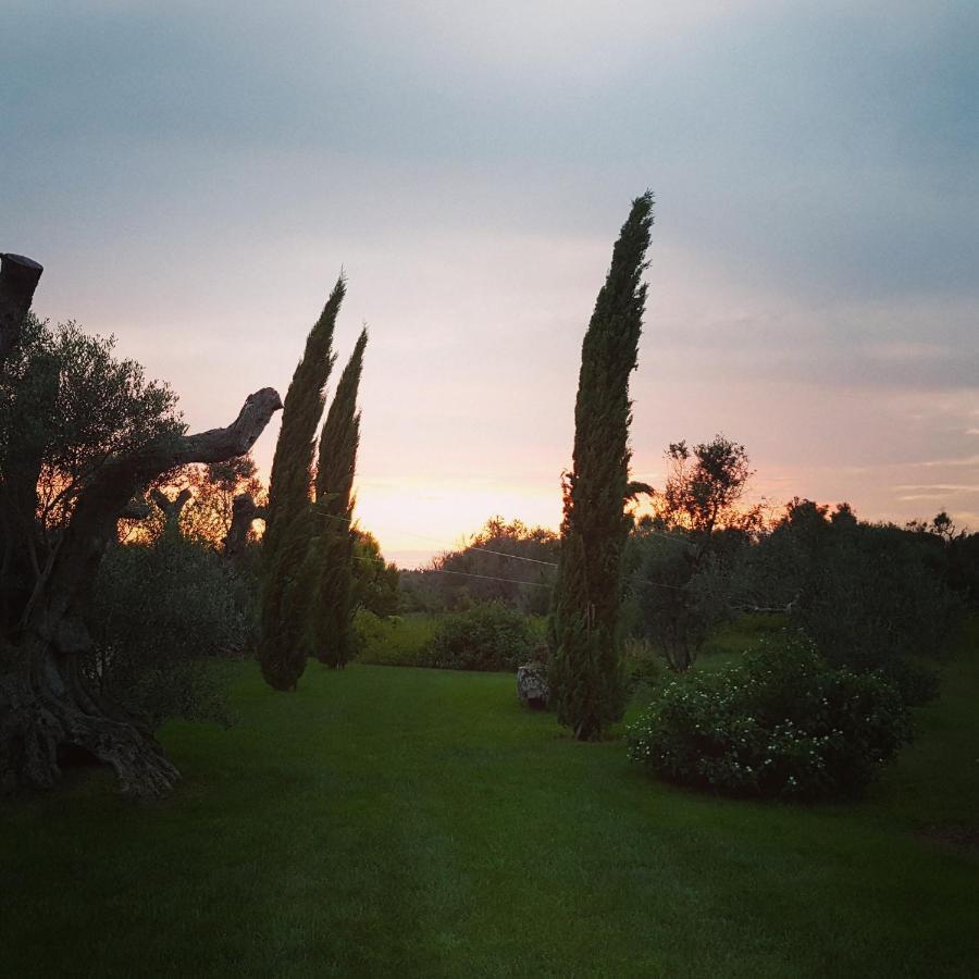 Casa Anna, Agriturismo Alla Castellana Gallipoli Eksteriør billede